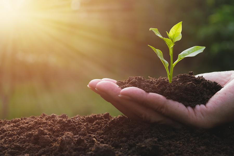 - ‍Cultivating Emotional Strength: ‌Managing Fear and Stress to Achieve Financial Freedom