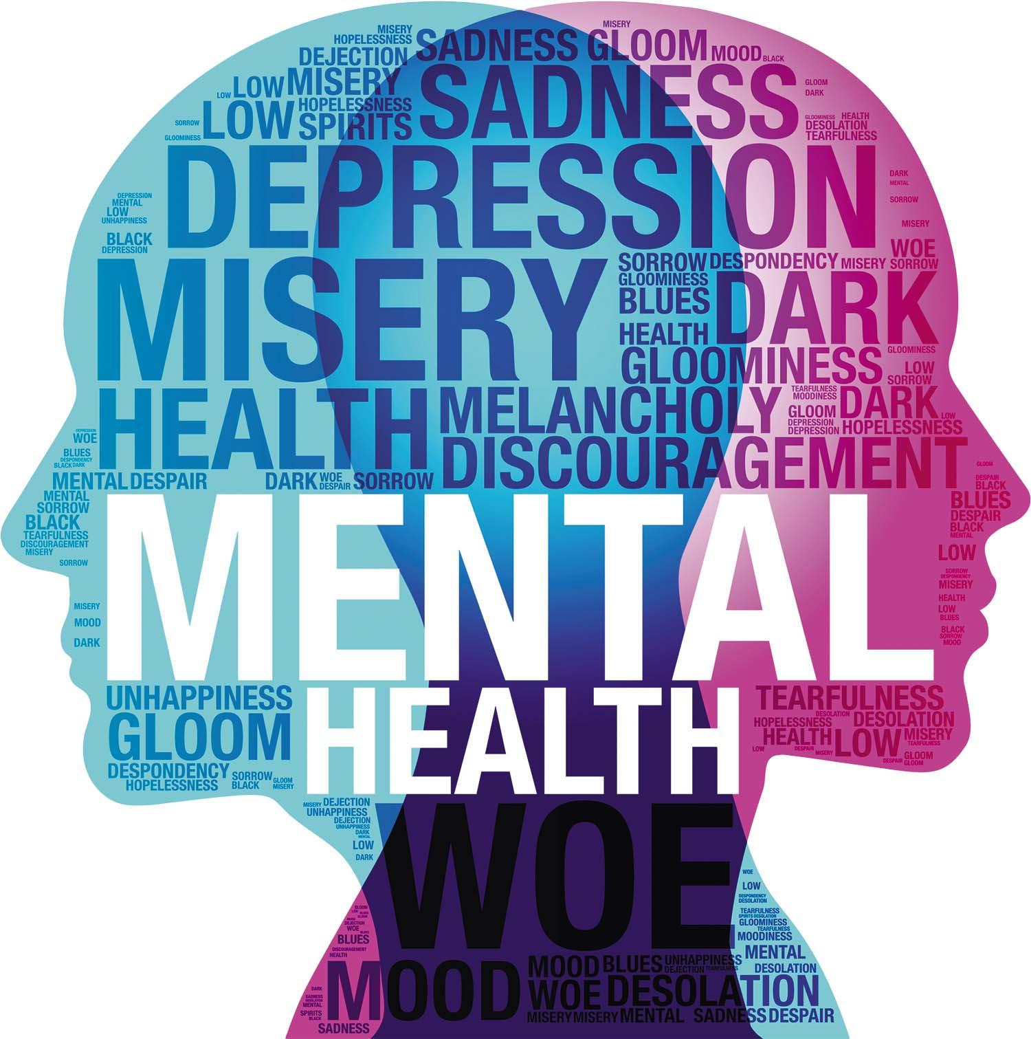 Understanding the Value of Mental Health Investments