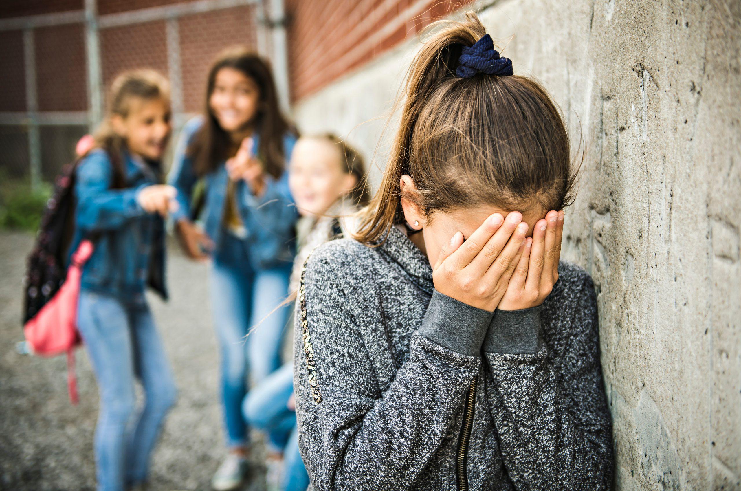 Understanding Bullying: It's Not Just Playground Drama