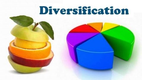 You’re Not Diversified—You’re Just Throwing Money at Random Investments