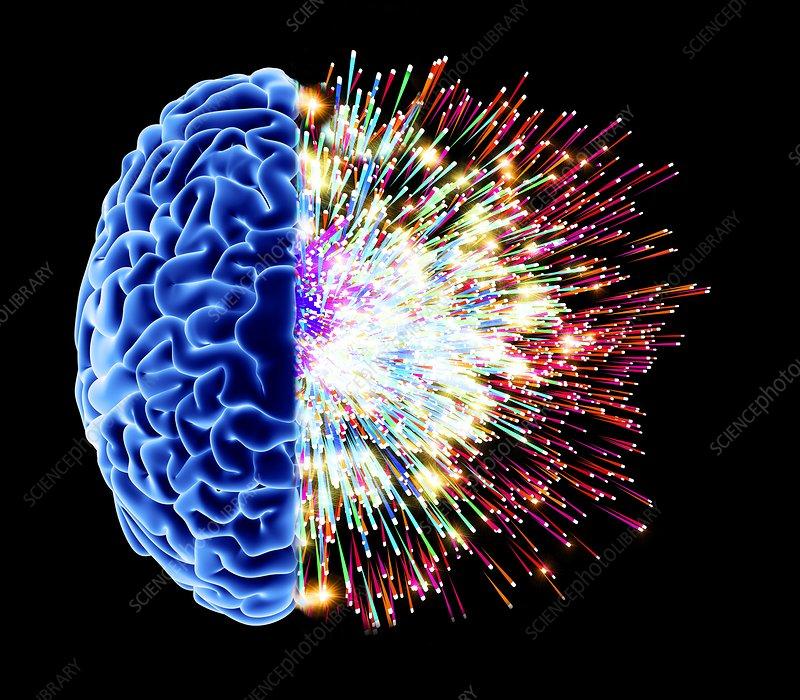 Quit the self-destruction: ⁣real steps to rescue your⁣ brain before it implodes