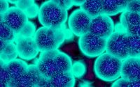 Bio-surveillance and Privacy: Navigating Digital Health Risks