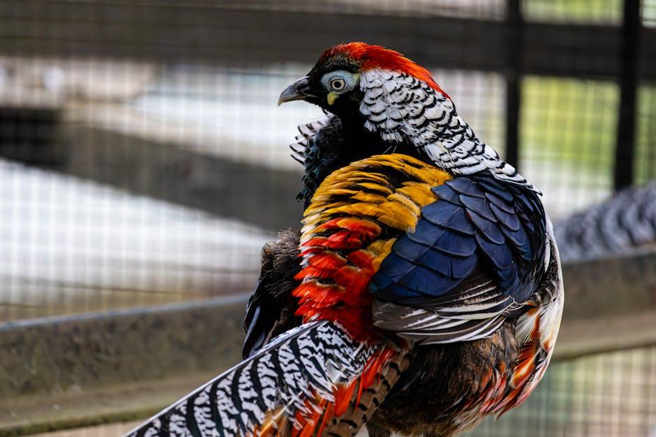 Face‍ it, Your Comfort Zone is‍ just a Fancy Cage