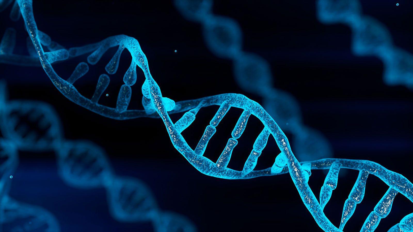 health Risk Predictions: Stressing Over Your DNA Rather of Just Living